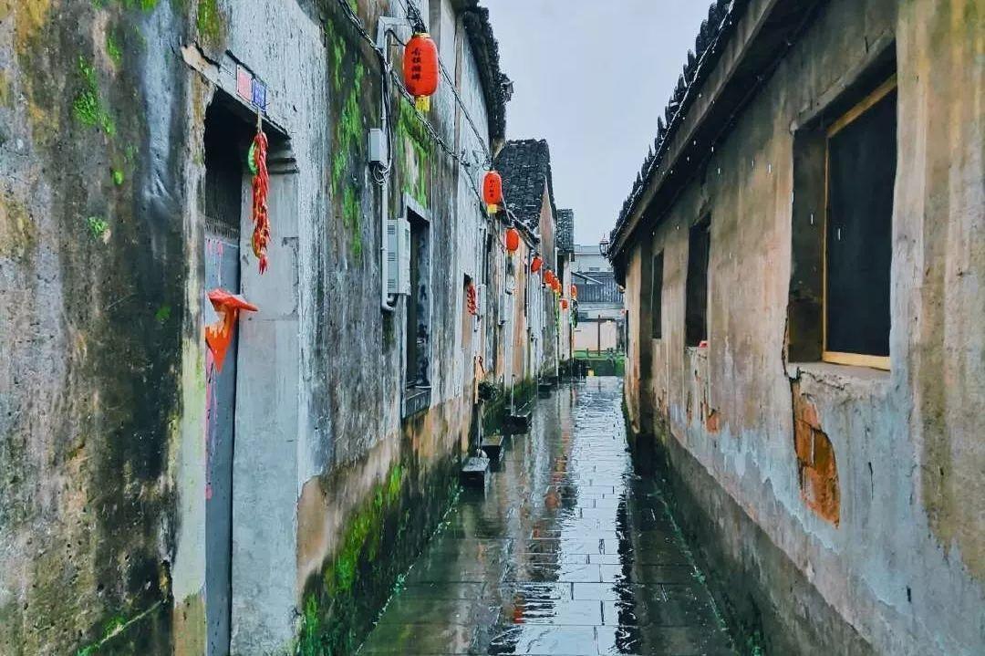 虫虫助手下载